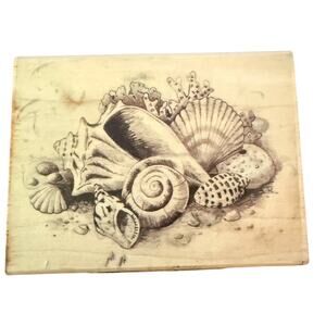 Inkadinkado Sea Shells Seashell Coral Beach 60-00208 Rubber Stamp